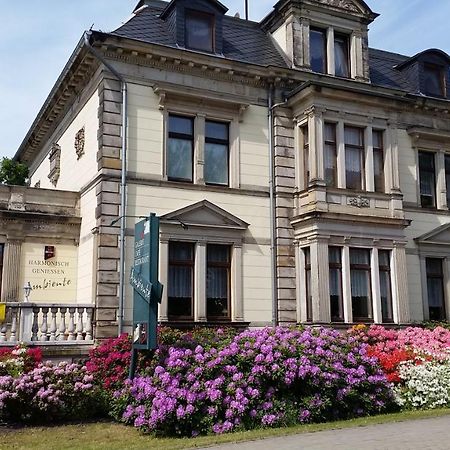 Galeriecafe Und Pension Ambiente Zittau Exteriér fotografie